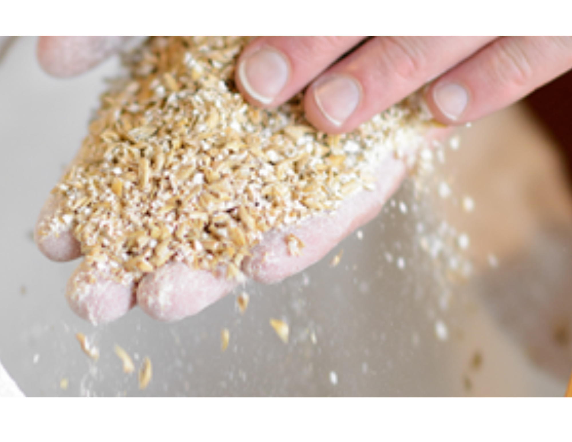 Brewing and Malting